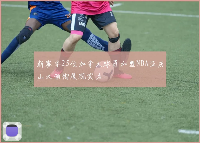 新赛季25位加拿大球员加盟NBA亚历山大领衔展现实力